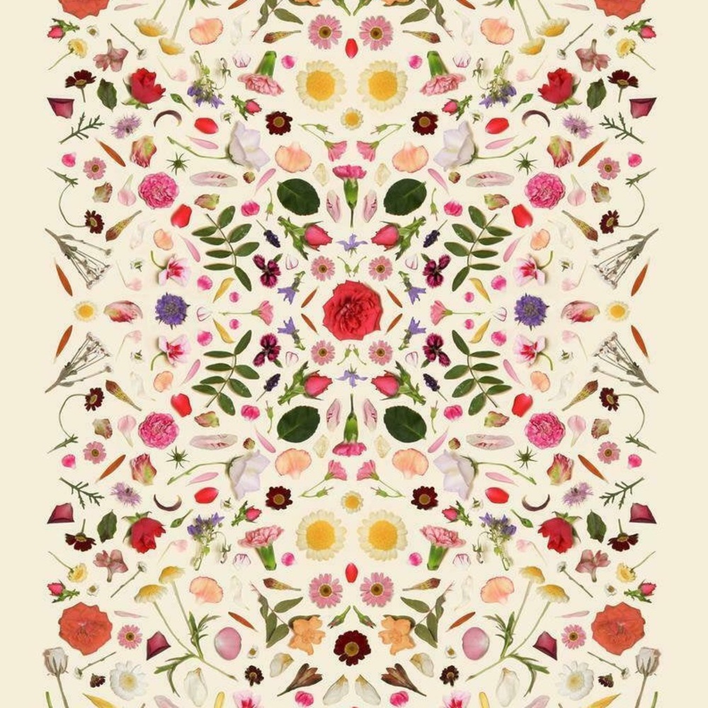 Meet your Posher, Cj